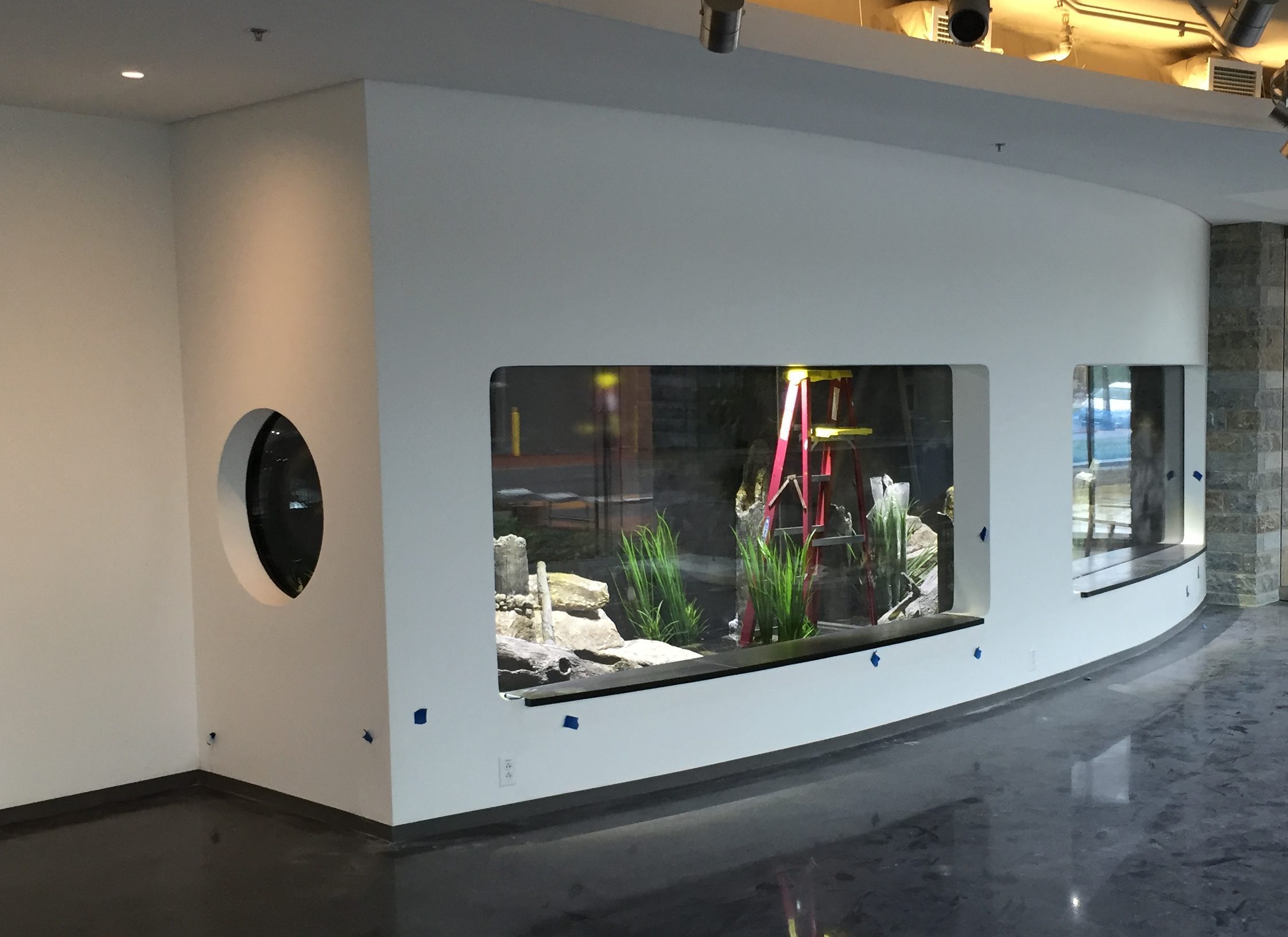 large aquarium installer washington dc Capital Aquarium