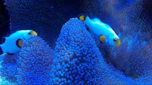 2013-06-20 16-41-38 138-e1491742006160 (2)